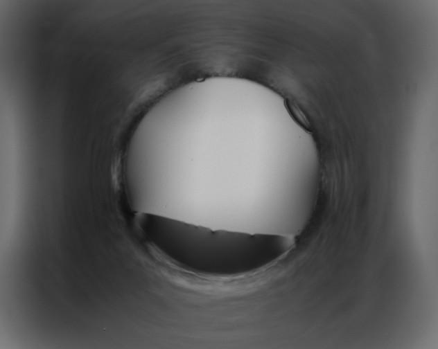 X0000086990023200705071445