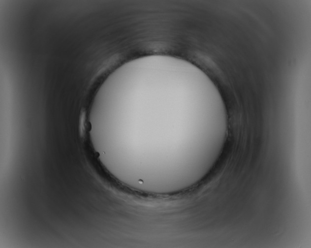 X0000086990024200705071445