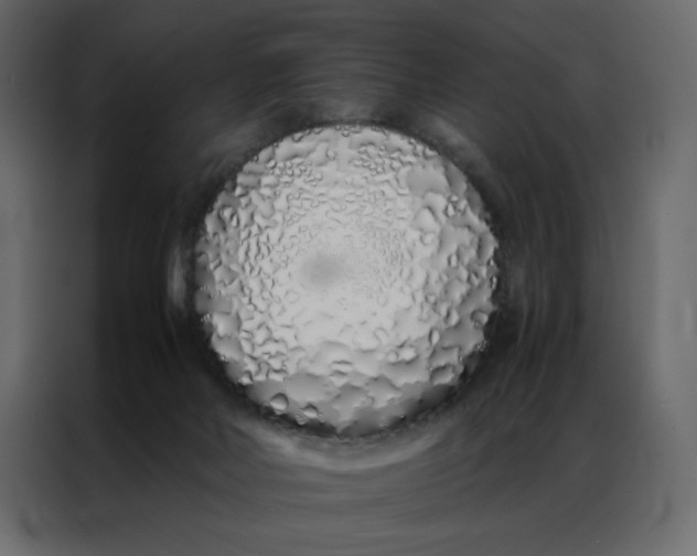 X0000086990026200705071445