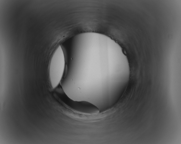 X0000086990027200705071445