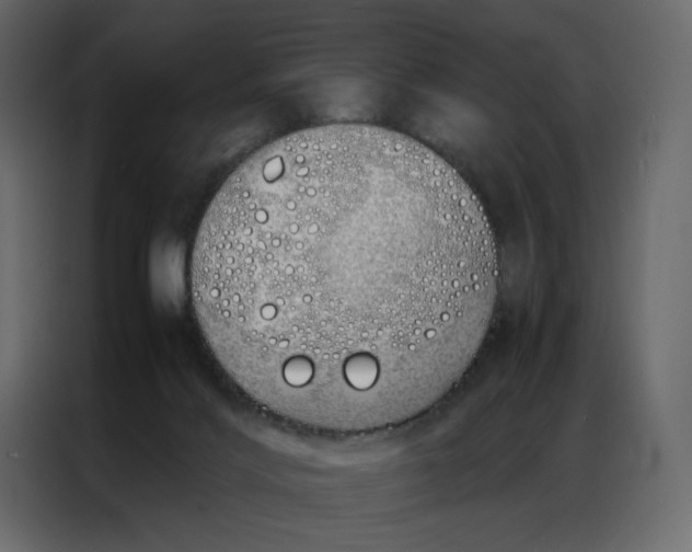 X0000086990028200705071445