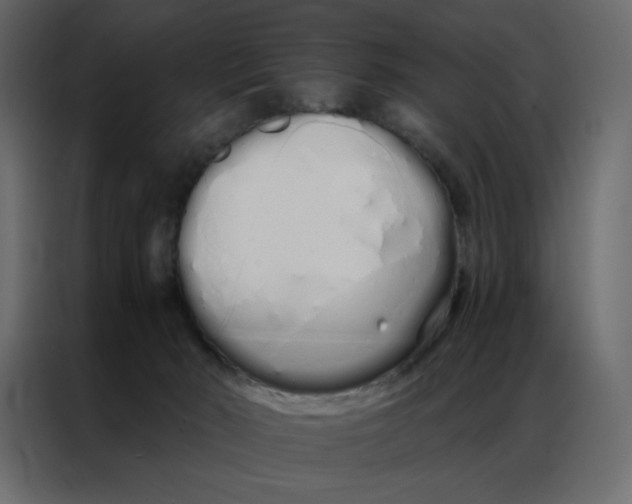 X0000086990030200705071445