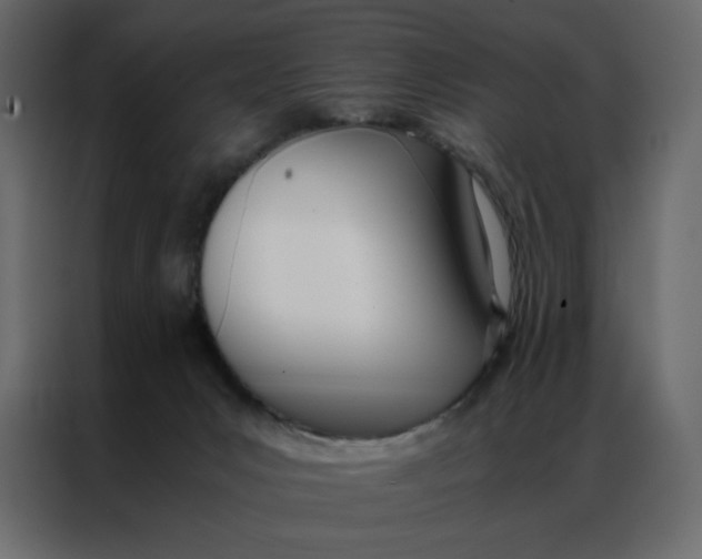 X0000086990031200705071445