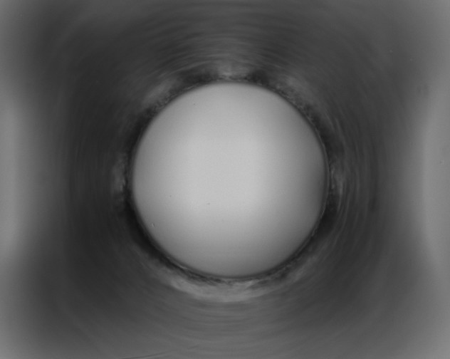 X0000086990032200705071445