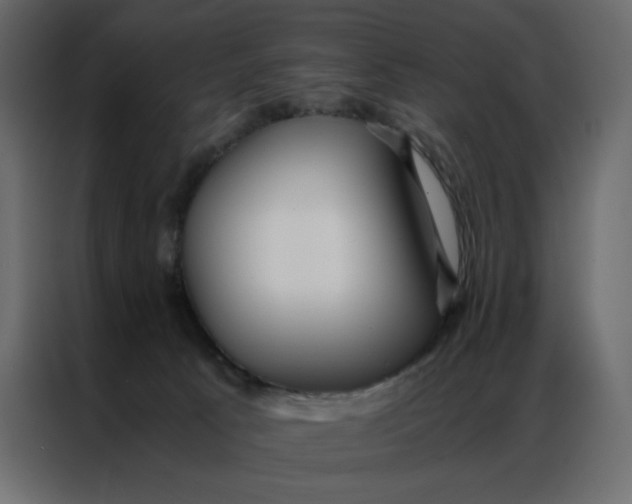 X0000086990033200705071445