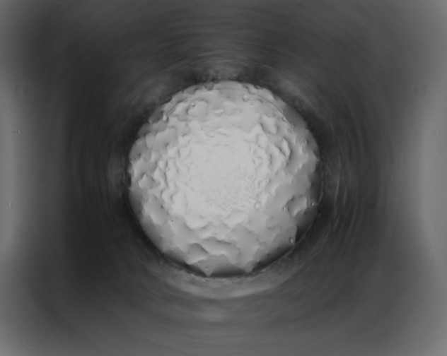 X0000086990034200705071445