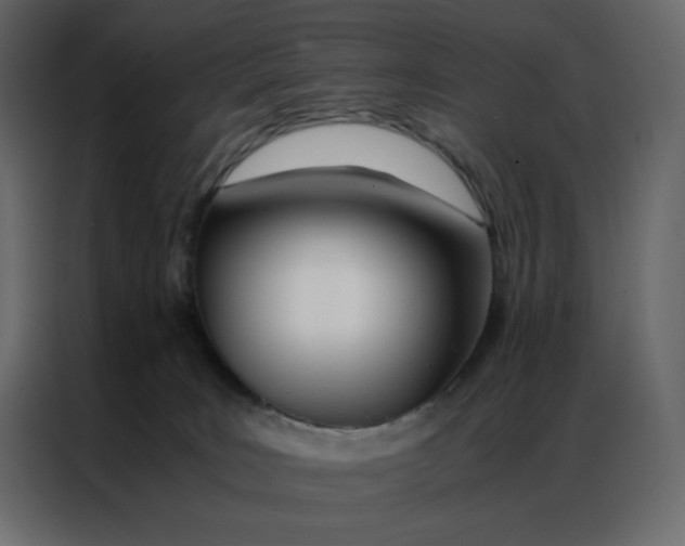 X0000086990035200705071445