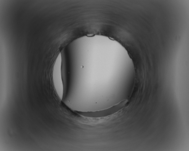 X0000086990037200705071445