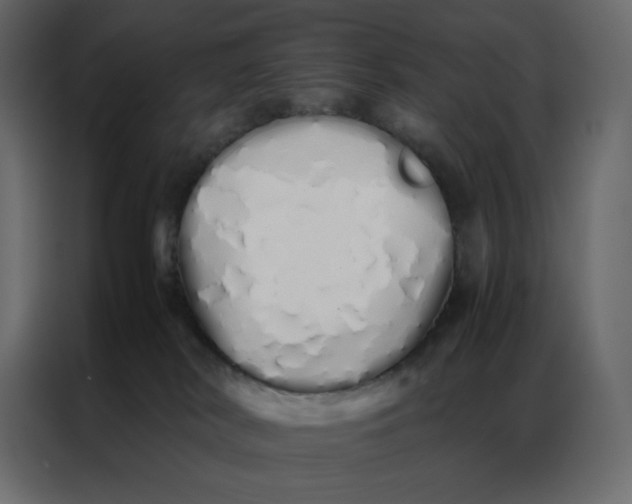 X0000086990038200705071445