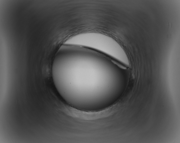 X0000086990039200705071445