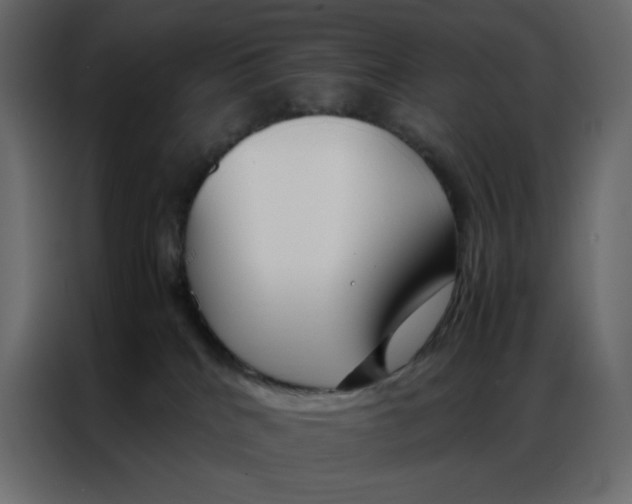 X0000086990040200705071445