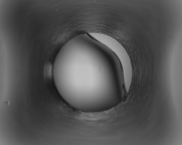 X0000086990041200705071445