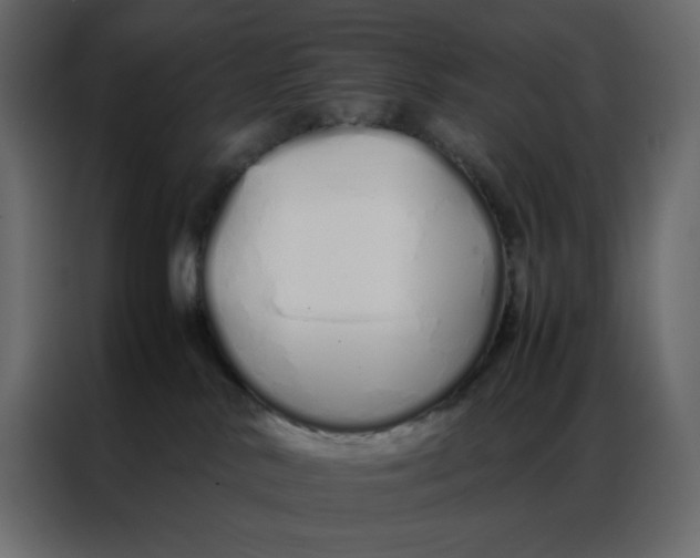 X0000086990042200705071445