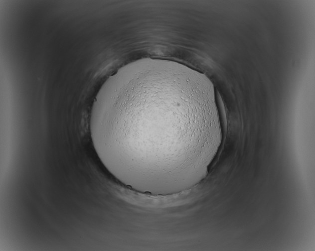 X0000086990043200705071445