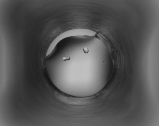 X0000086990044200705071445