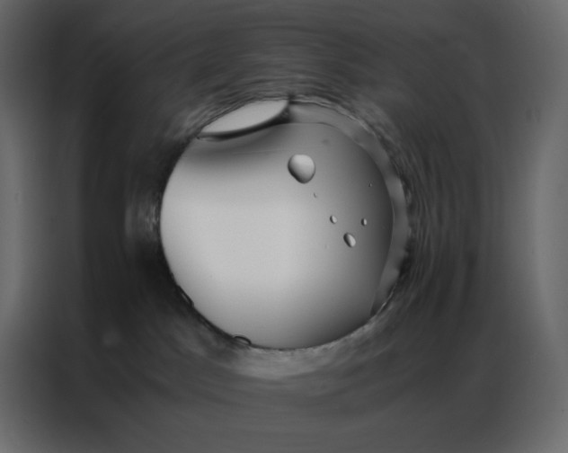 X0000086990045200705071445