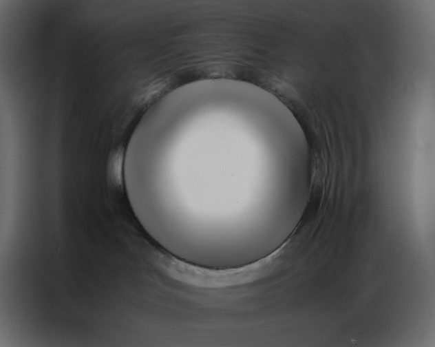 X0000086990047200705071445