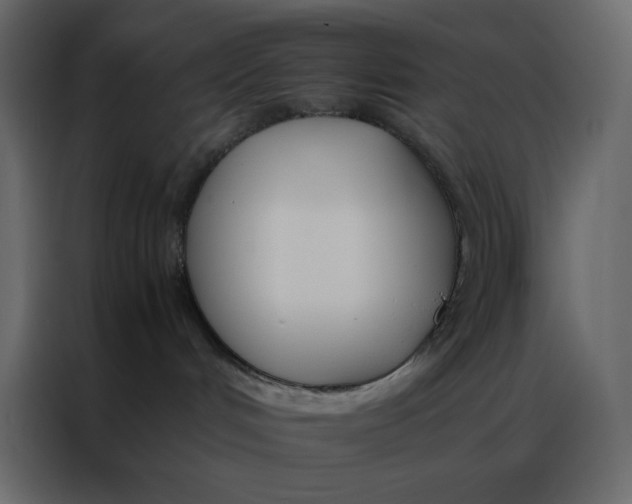 X0000086990048200705071445