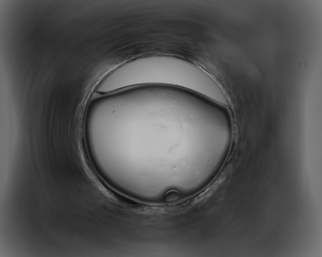 X0000086990049200705071444