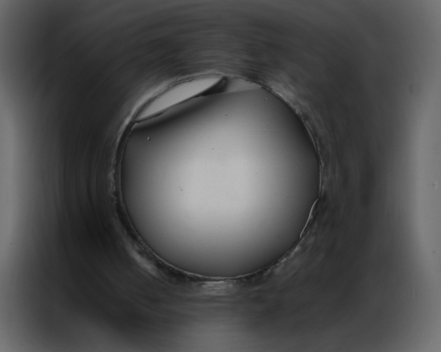 X0000086990050200705071444