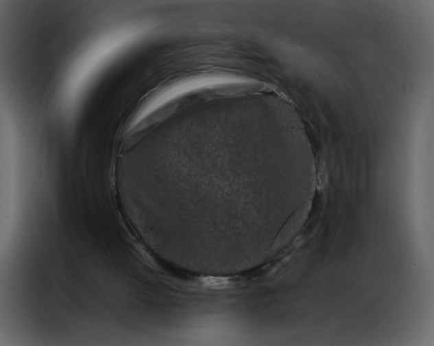 X0000086990052200705071444