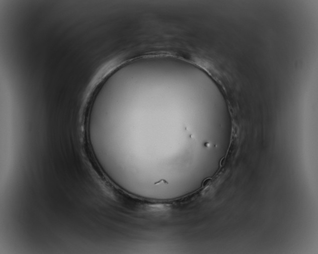 X0000086990053200705071444