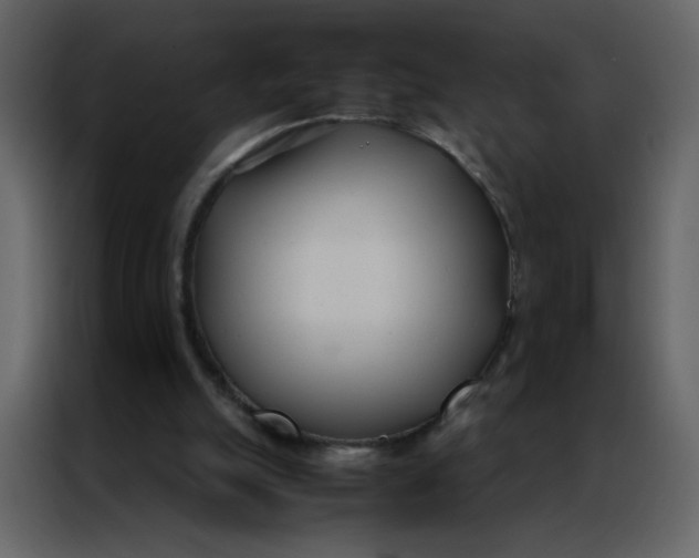 X0000086990055200705071445