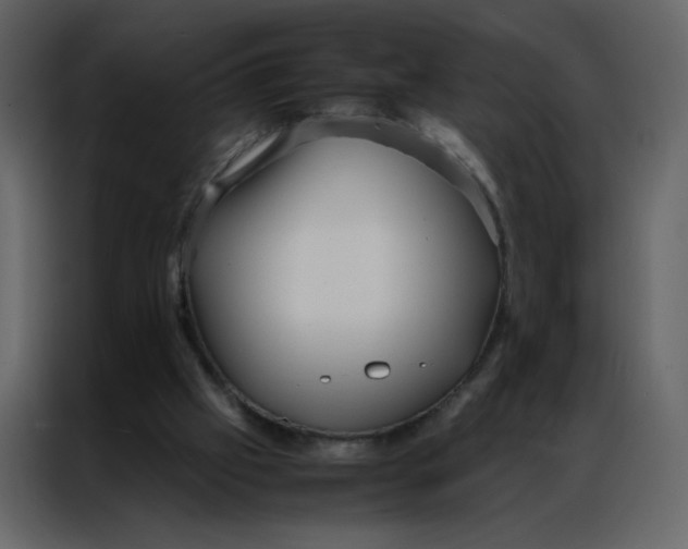 X0000086990057200705071445