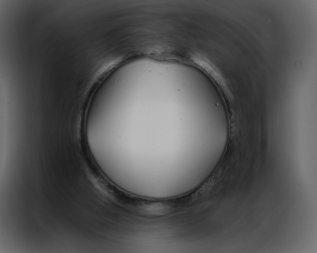 X0000086990058200705071445