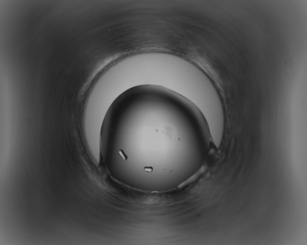 X0000086990060200705071445