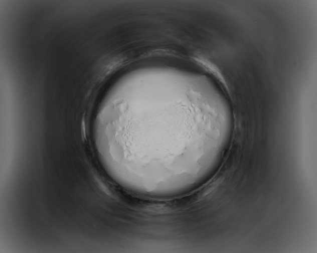 X0000086990061200705071445