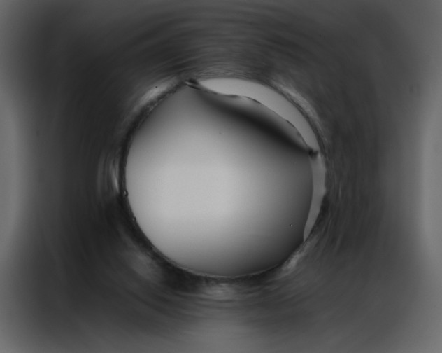 X0000086990062200705071445