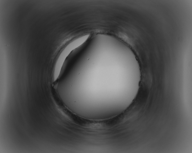 X0000086990063200705071445