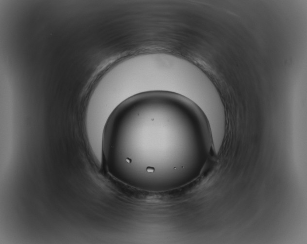 X0000086990064200705071445