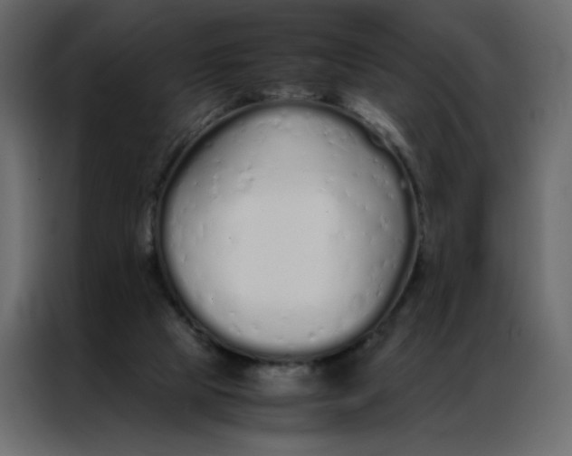 X0000086990065200705071445