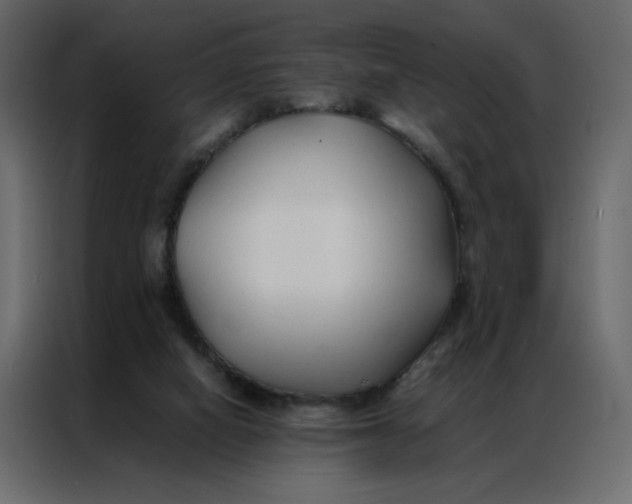 X0000086990066200705071445