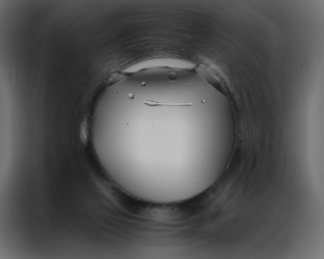 X0000086990069200705071445