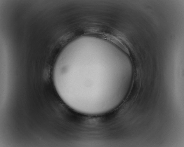 X0000086990073200705071445