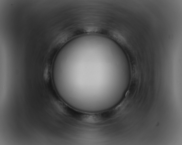 X0000086990074200705071445