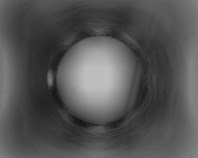 X0000086990075200705071445