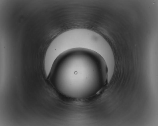 X0000086990076200705071445