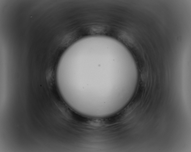 X0000086990079200705071445