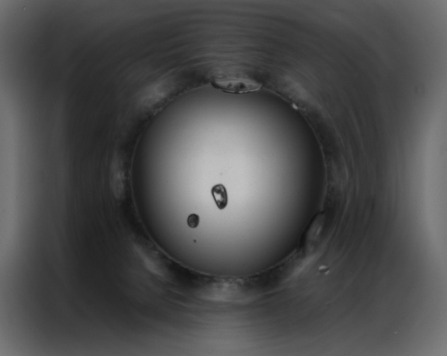 X0000086990080200705071445