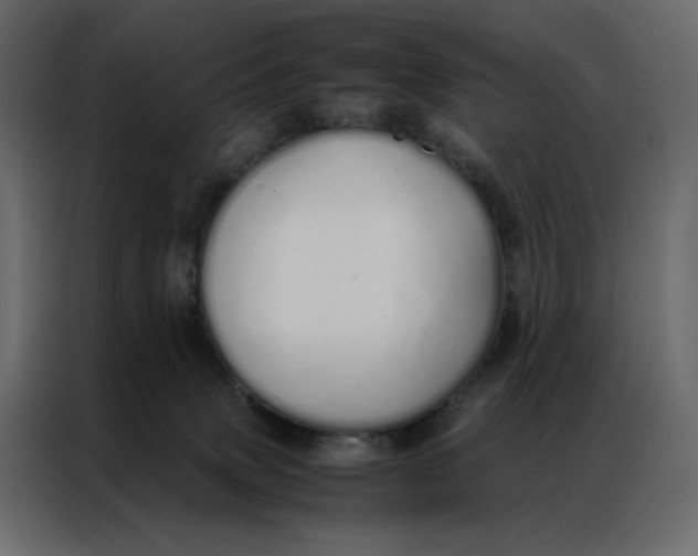 X0000086990083200705071445