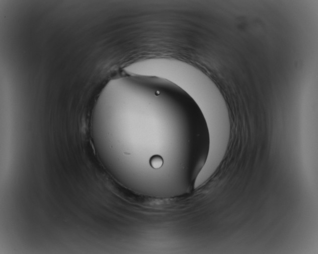 X0000086990084200705071445