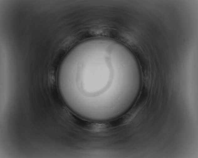 X0000086990085200705071445