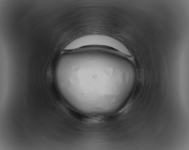 X0000086990086200705071445