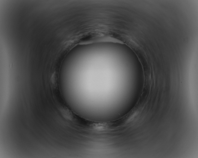 X0000086990088200705071445