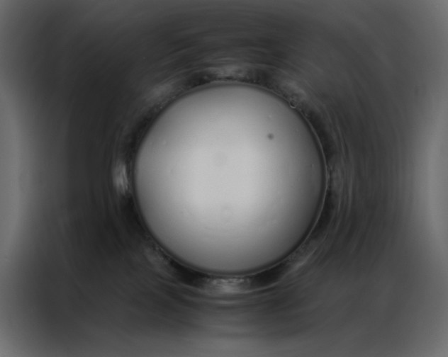 X0000086990089200705071445