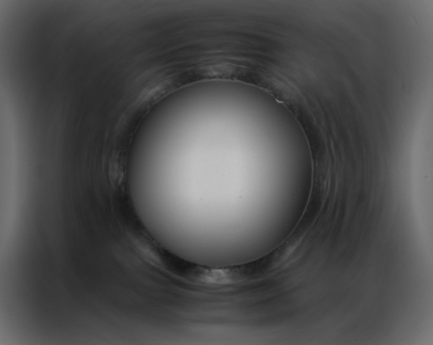 X0000086990091200705071445